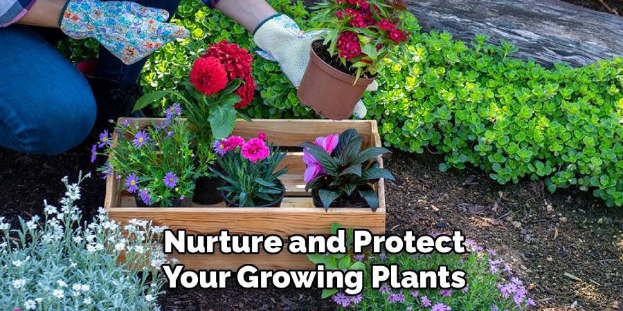 Nurture and Protect Your Growing Plants