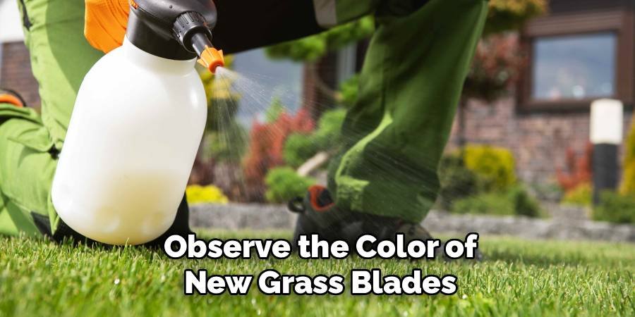 Observe the Color of New Grass Blades