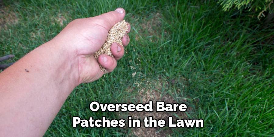 Overseed Bare Patches in the Lawn
