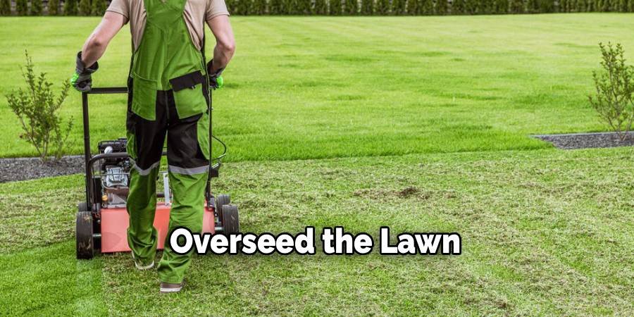 Overseed the Lawn