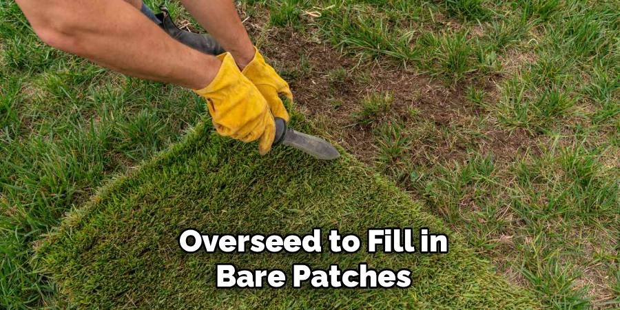 Overseed to Fill in Bare Patches
