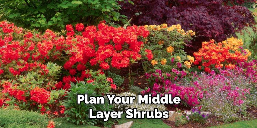Plan Your Middle Layer Shrubs