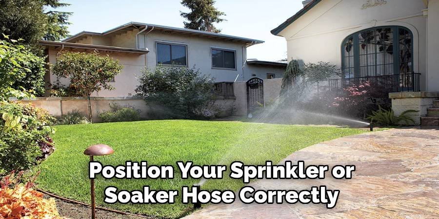 Position Your Sprinkler or Soaker Hose Correctly