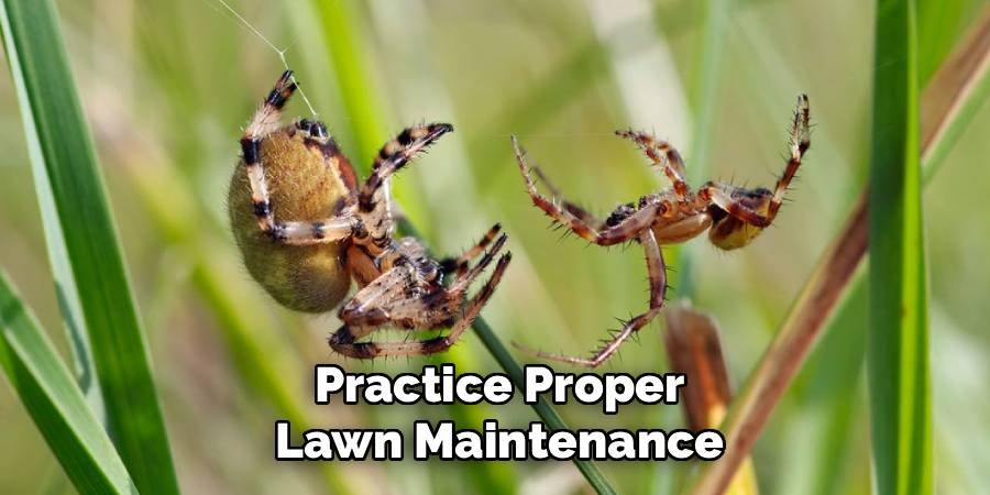 Practice Proper Lawn Maintenance