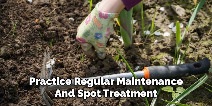 Practice Regular Maintenance and Spot Treatment