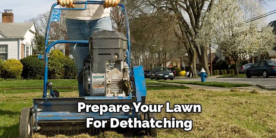 Prepare Your Lawn for Dethatching
