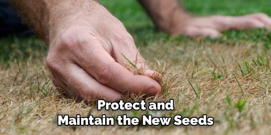Protect and Maintain the New Seeds