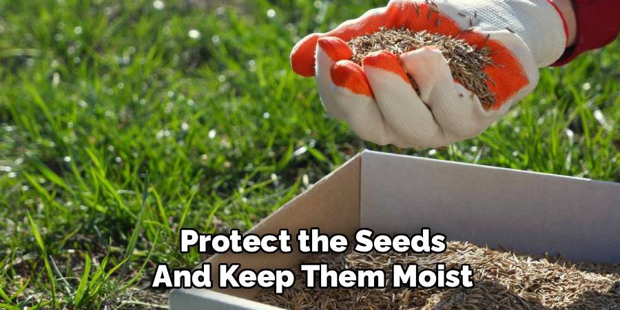 Protect the Seeds and Keep Them Moist
