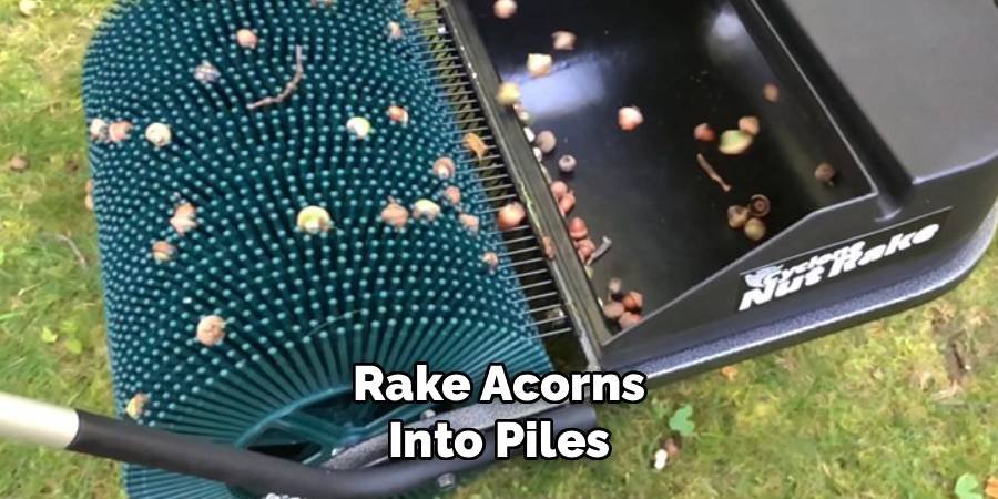 Rake Acorns into Piles