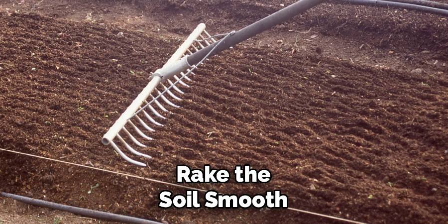 Rake the Soil Smooth