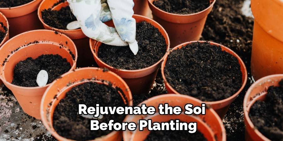 Rejuvenate the Soil Before Planting