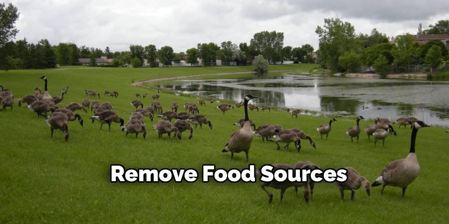 Remove Food Sources