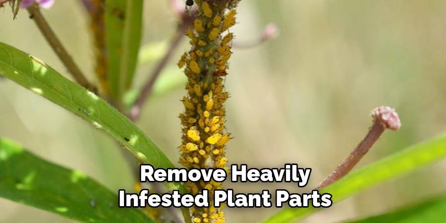 Remove Heavily Infested Plant Parts