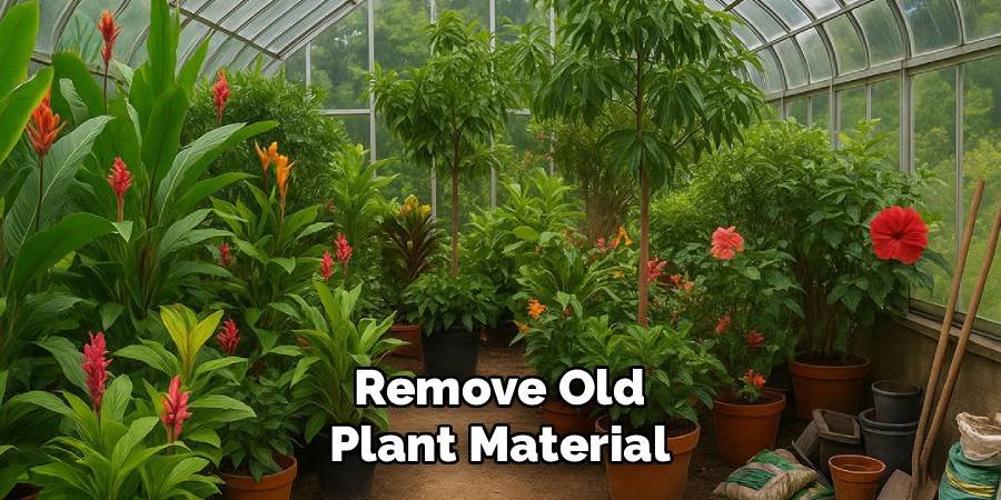 Remove Old Plant Material