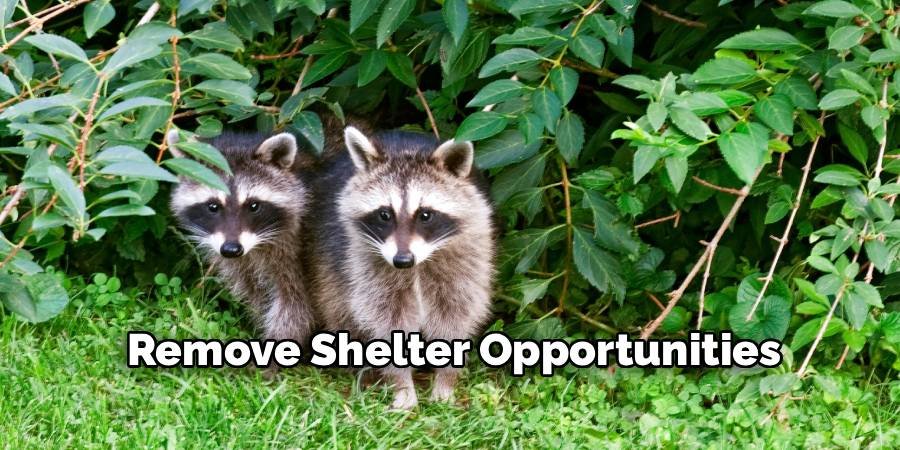 Remove Shelter Opportunities