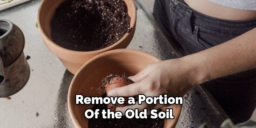 Remove a Portion of the Old Soil