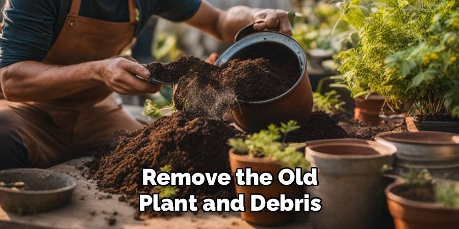 Remove the Old Plant and Debris