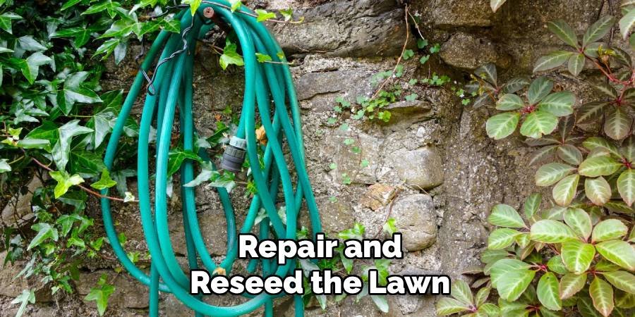 Repair and Reseed the Lawn