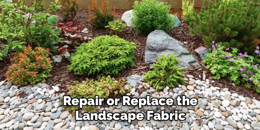 Repair or Replace the Landscape Fabric