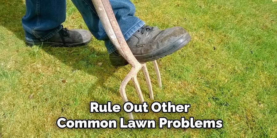 Rule Out Other Common Lawn Problems