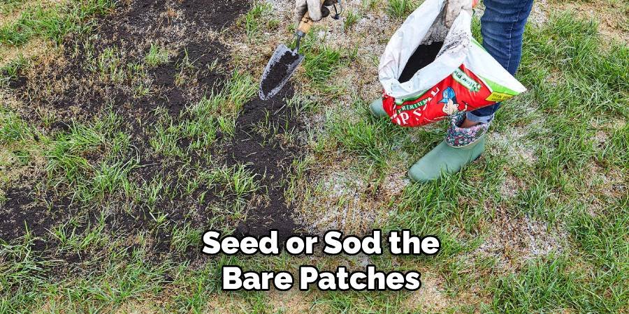 Seed or Sod the Bare Patches
