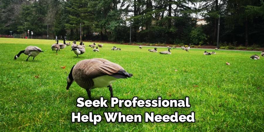 Seek Professional Help When Needed