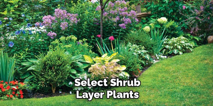 Select Shrub Layer Plants