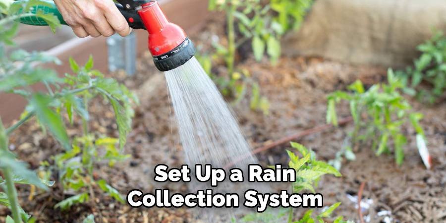 Set Up a Rain Collection System