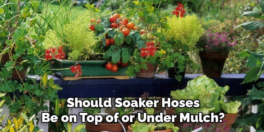 Should Soaker Hoses Be on Top of or Under Mulch?