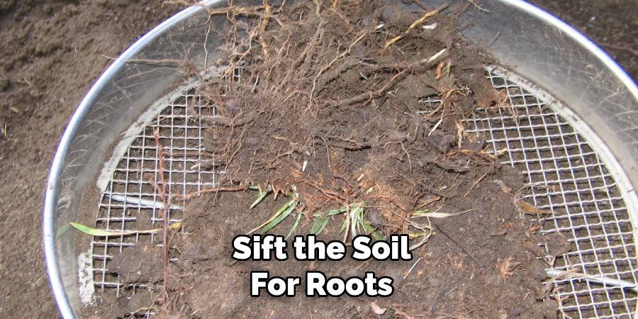 Sift the Soil for Roots
