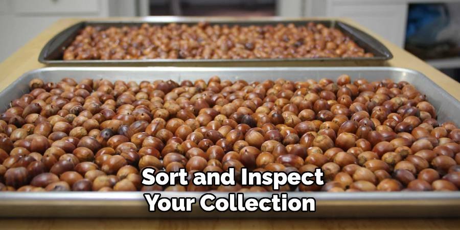  Sort and Inspect Your Collection