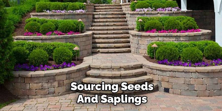 Sourcing Seeds and Saplings