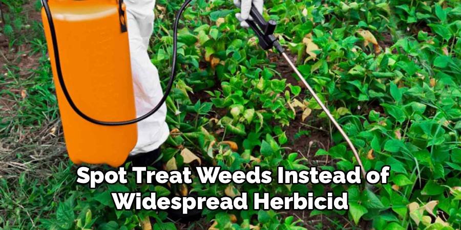  Spot Treat Weeds Instead of Widespread Herbicid