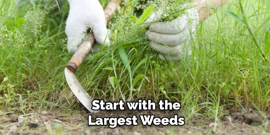 Start with the Largest Weeds
