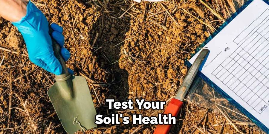 Test Your Soil's Health