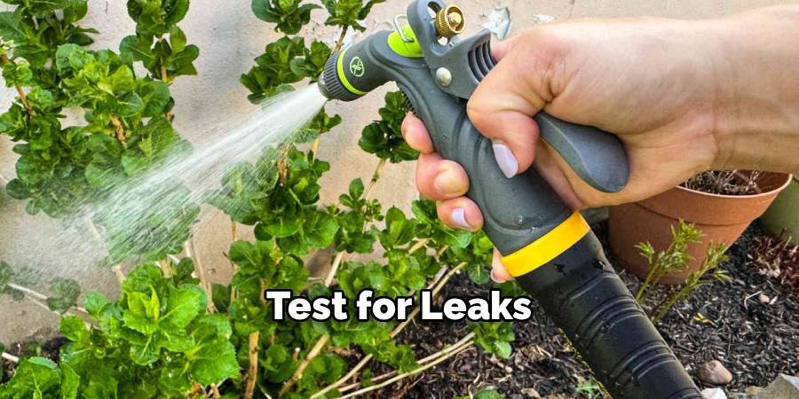 Test for Leaks