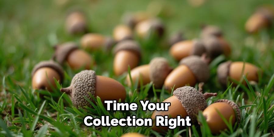 Time Your Collection Right
