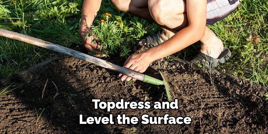 Topdress and Level the Surface