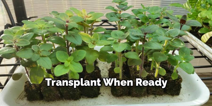 Transplant When Ready