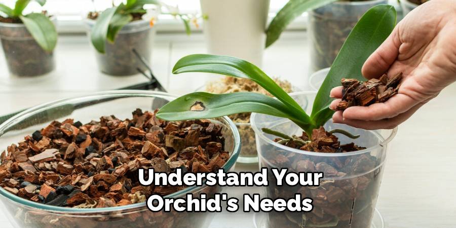 Understand Your Orchid's Needs