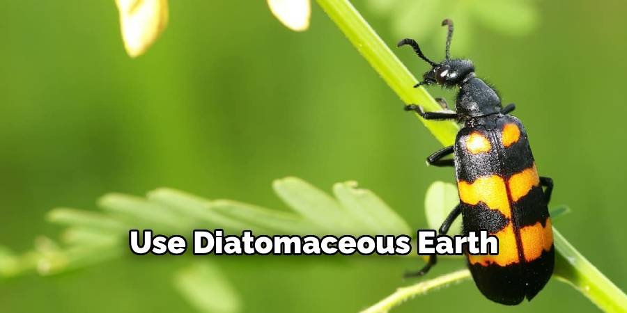 Use Diatomaceous Earth