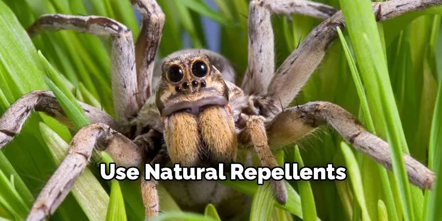 Use Natural Repellents