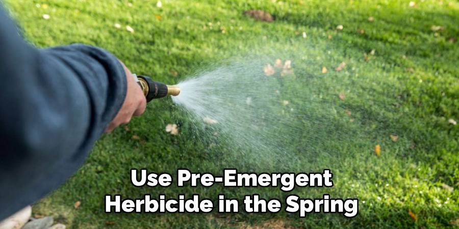 Use Pre-Emergent Herbicide in the Spring