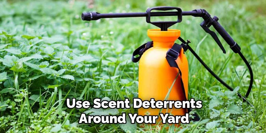 Use Scent Deterrents Around Your Yard