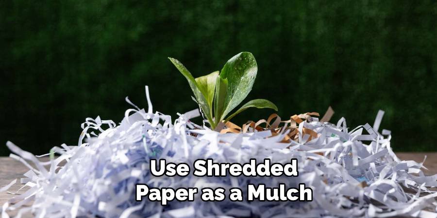 Use Shredded Paper as a Mulch