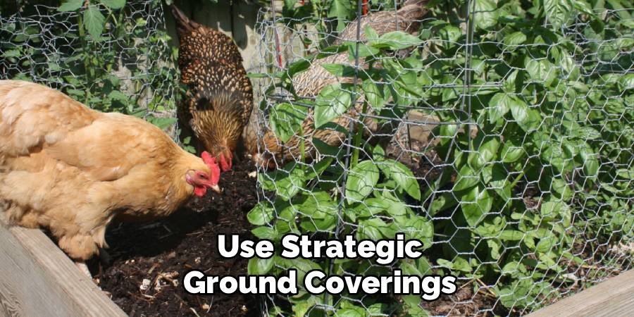 Use Strategic Ground Coverings