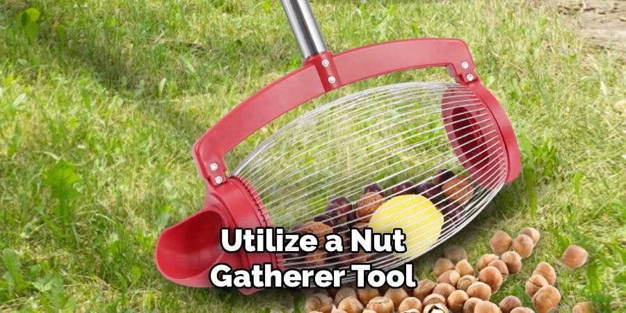 Utilize a Nut Gatherer Tool