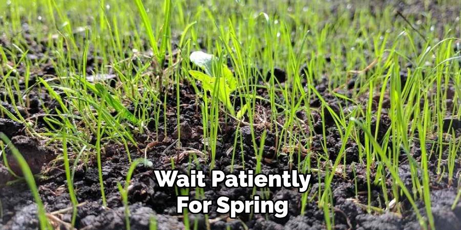 Wait Patiently for Spring