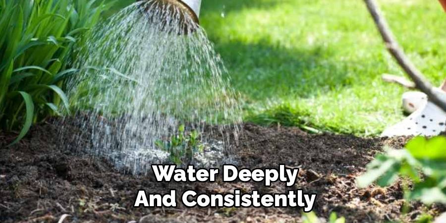 Water Deeply and Consistently