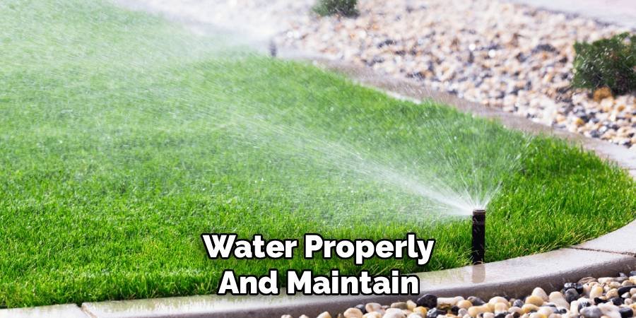 Water Properly and Maintain
